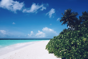 The Maldives Travel Diaries | Girl Going Global | Biyadhoo Island